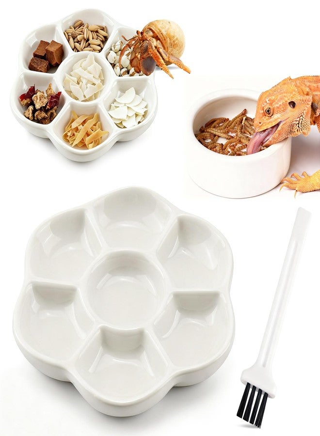 Eiito Reptile Food Bowl,Hermit Crab Lizard Gecko Ceramic Food Dish, 7 Compartments Anti-Turning Bearded Dragon Food & Water Bowl with Small Brush (White) - Image 1
